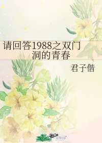 请回答1988之双门洞的青春