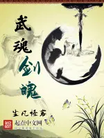 云薇陆战霆